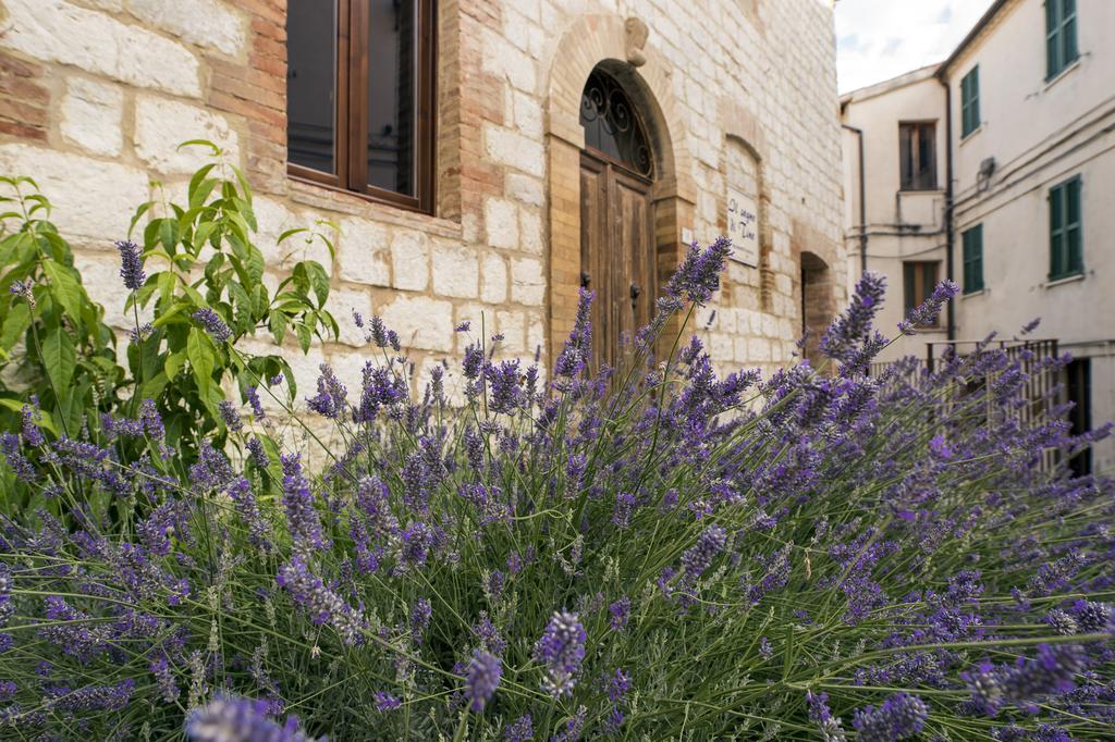 Il Sogno Di Tino Villa Cabernardi Exterior photo